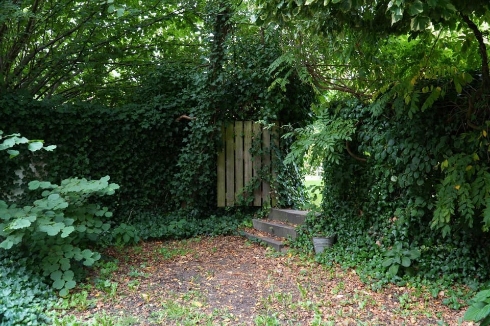 Patio, Spring, Garden, Garden view