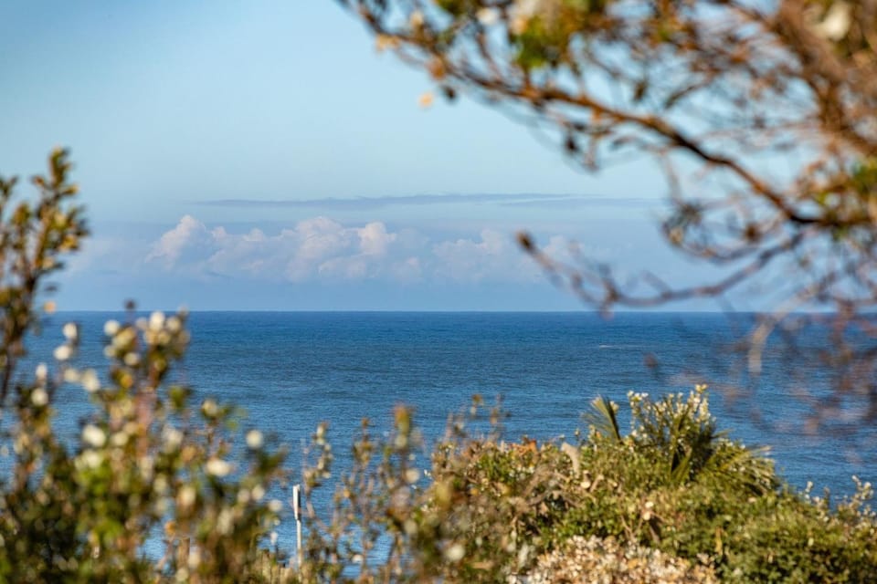 Headlands At Blueys House in New South Wales