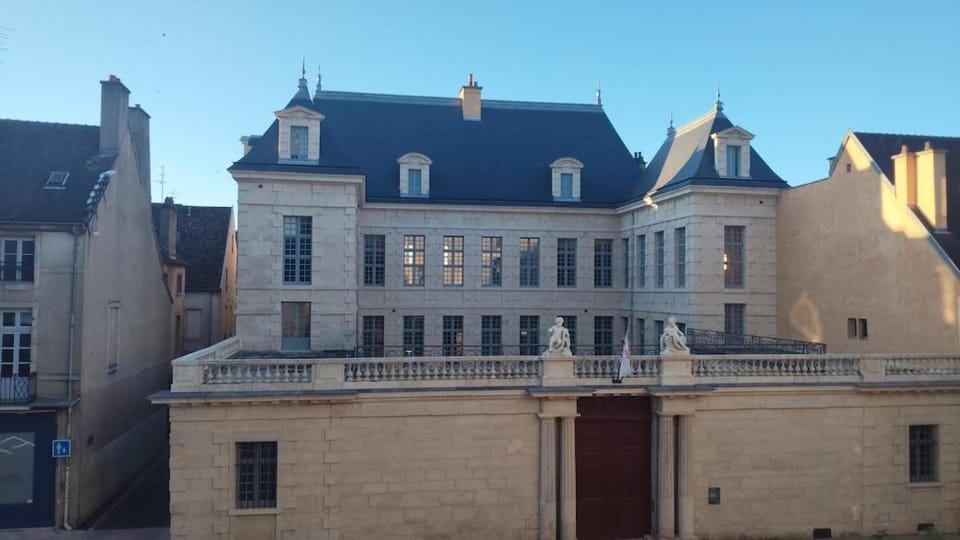 Appartement dans le centre historique Apartment in Dijon