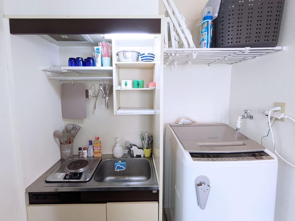 Kitchen or kitchenette, washing machine