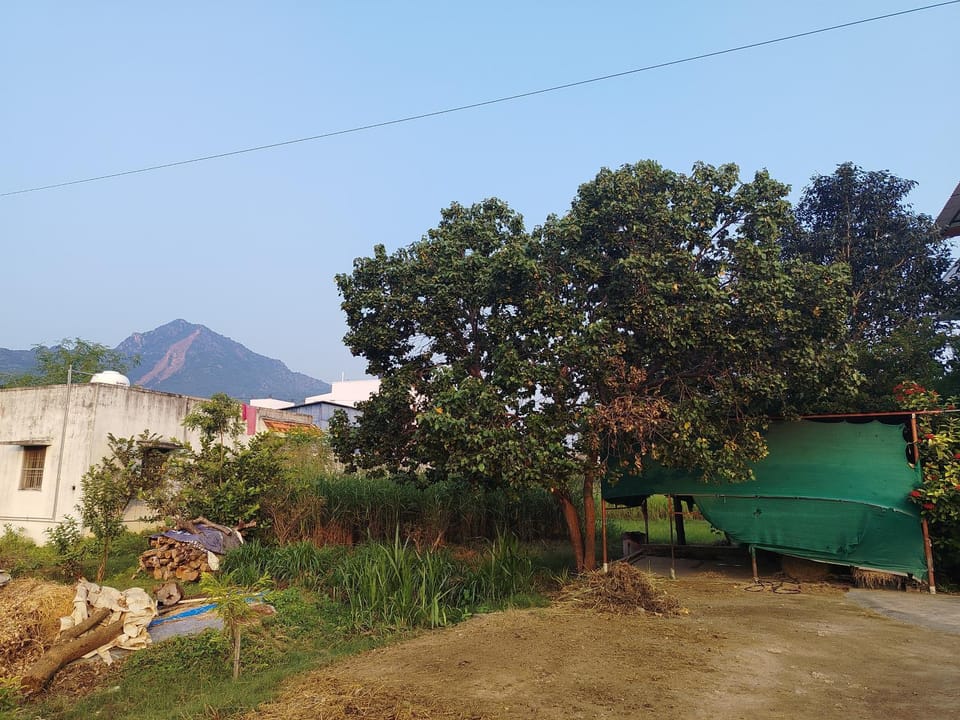 Beverly Dinesh Homestay Apartment in Tamil Nadu