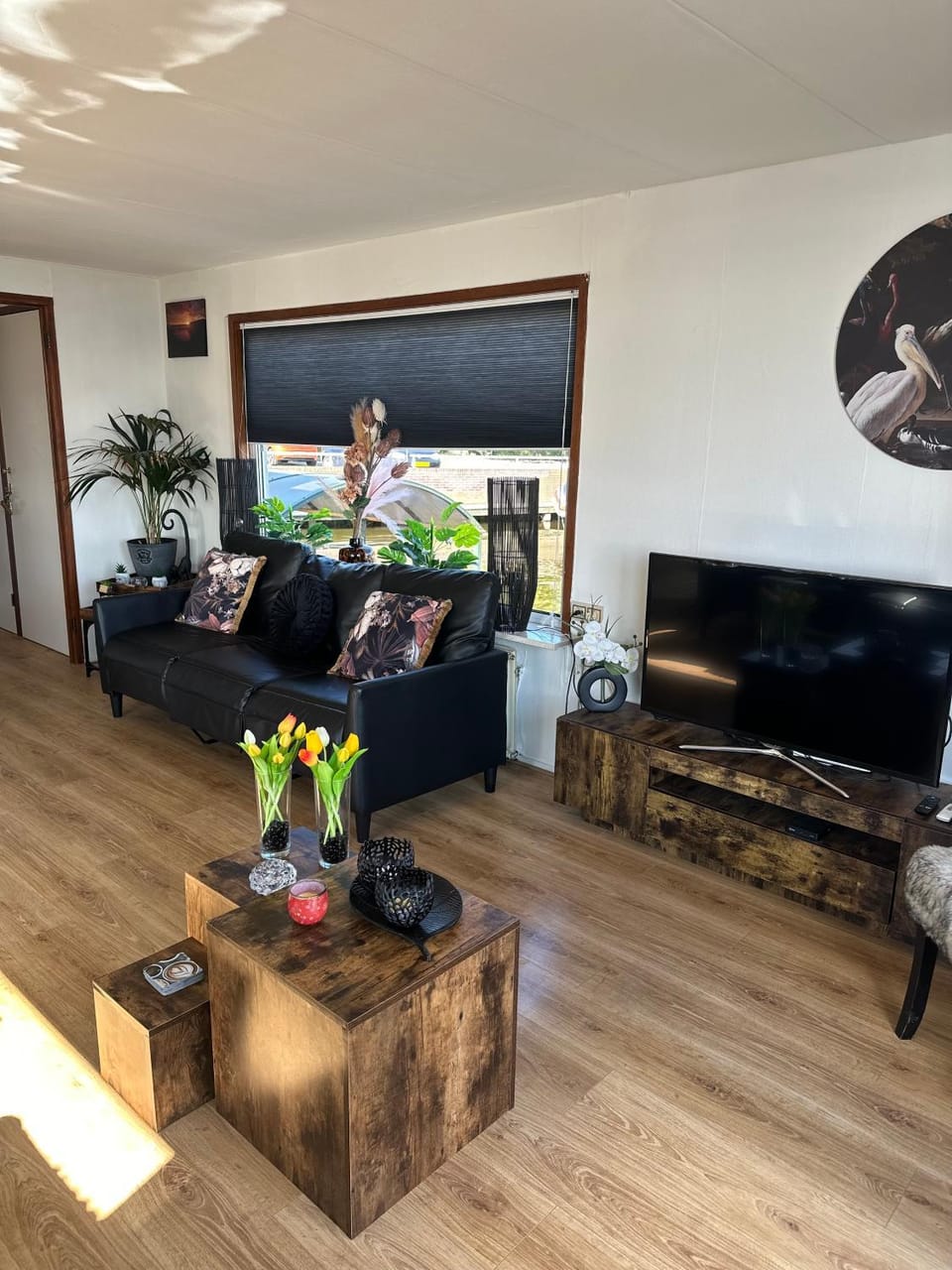 People, TV and multimedia, Living room