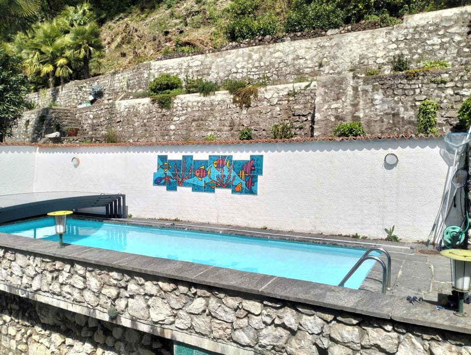 Pool view, Swimming pool