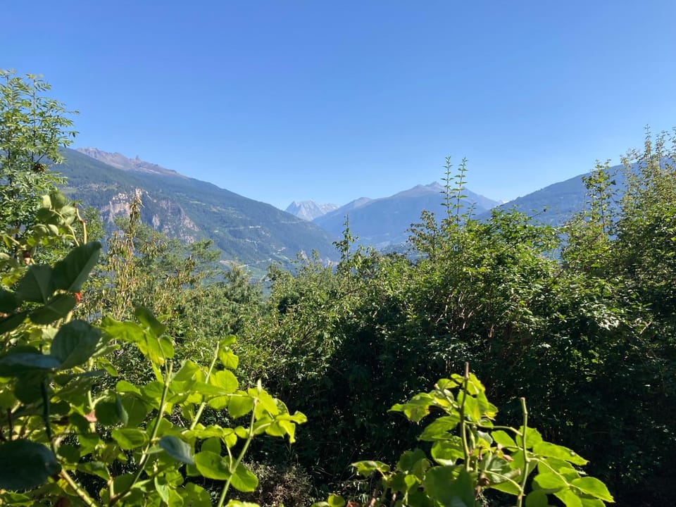 Mountain view