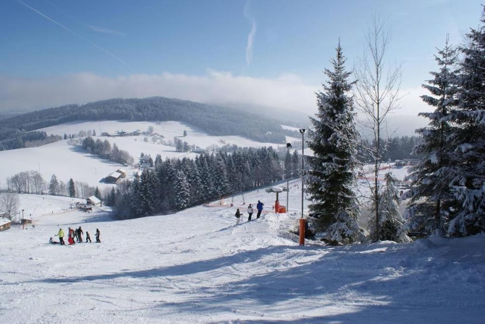 Haus Zisser Apartment in Styria