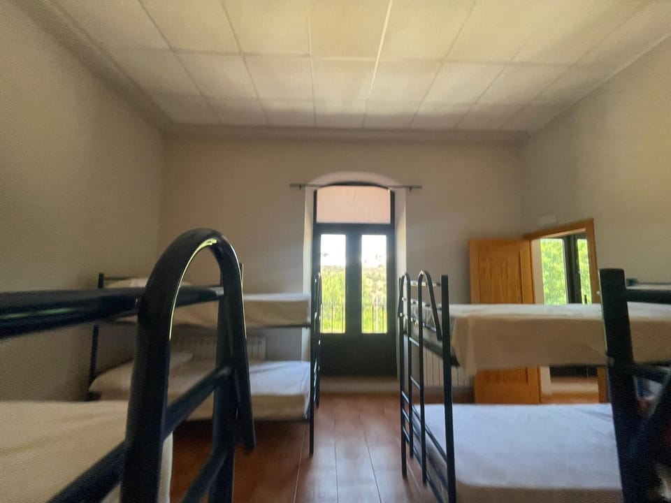 Bed, Photo of the whole room, Bedroom, bunk bed
