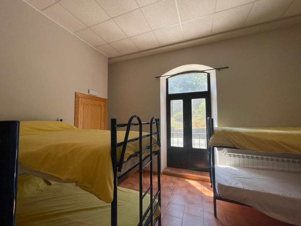 Bed, Photo of the whole room, Bedroom, bunk bed