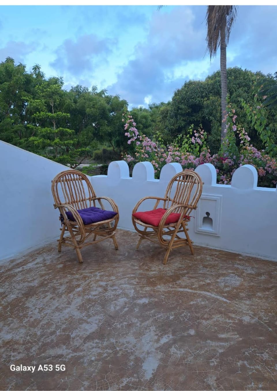 Balcony/Terrace