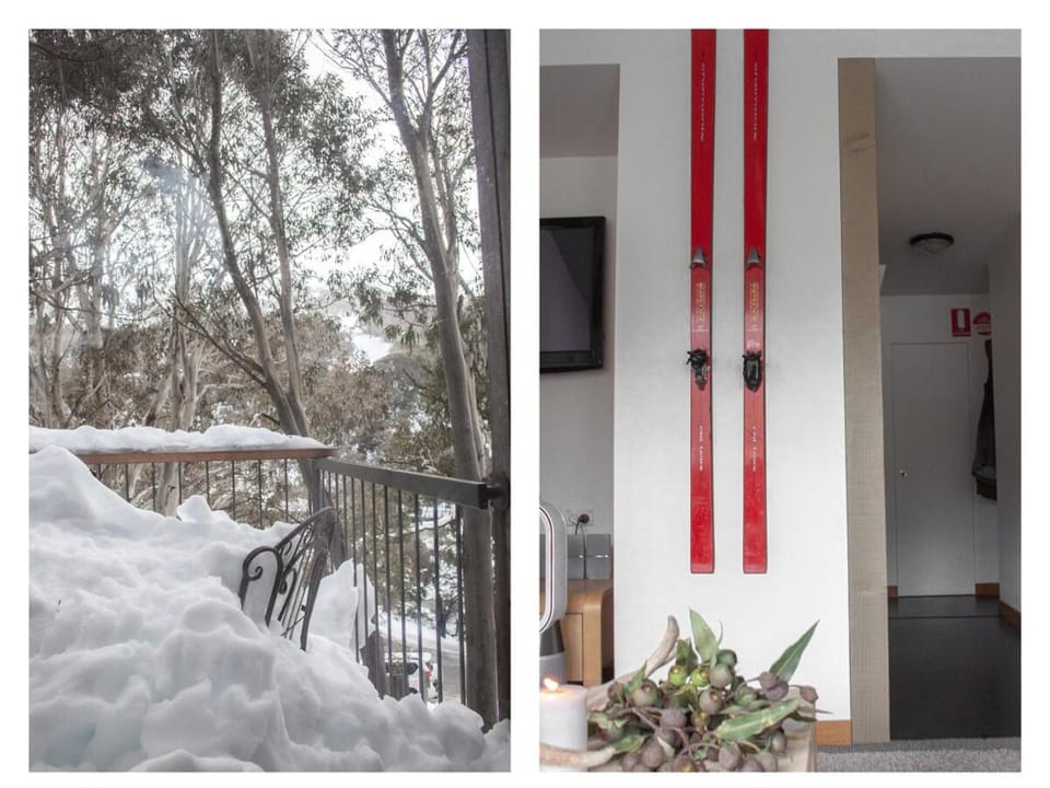 Ibos Chalet Thredbo Village Apartment in Thredbo