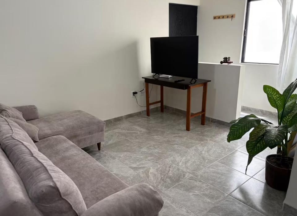Apartamento Familiar Céntrico Apartment in San Luis Potosi