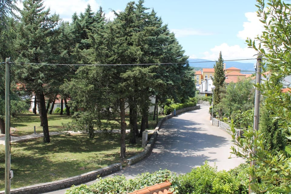 Neighbourhood, Street view