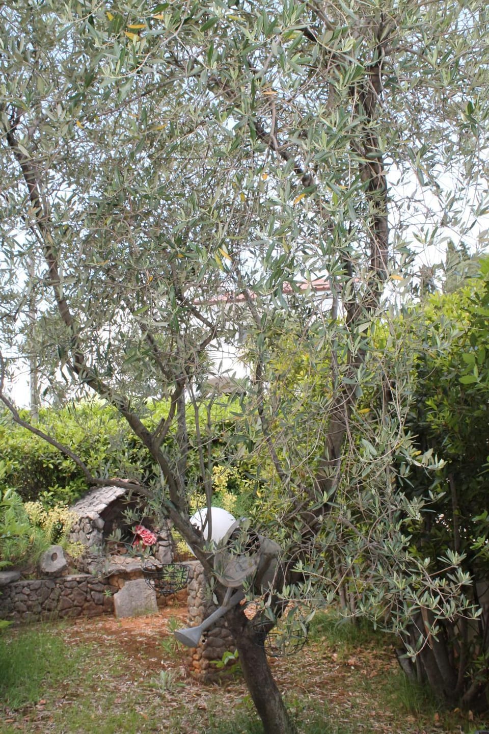 Spring, Day, On site