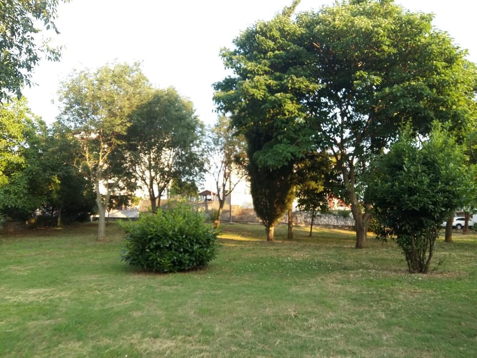Off site, Neighbourhood, Summer