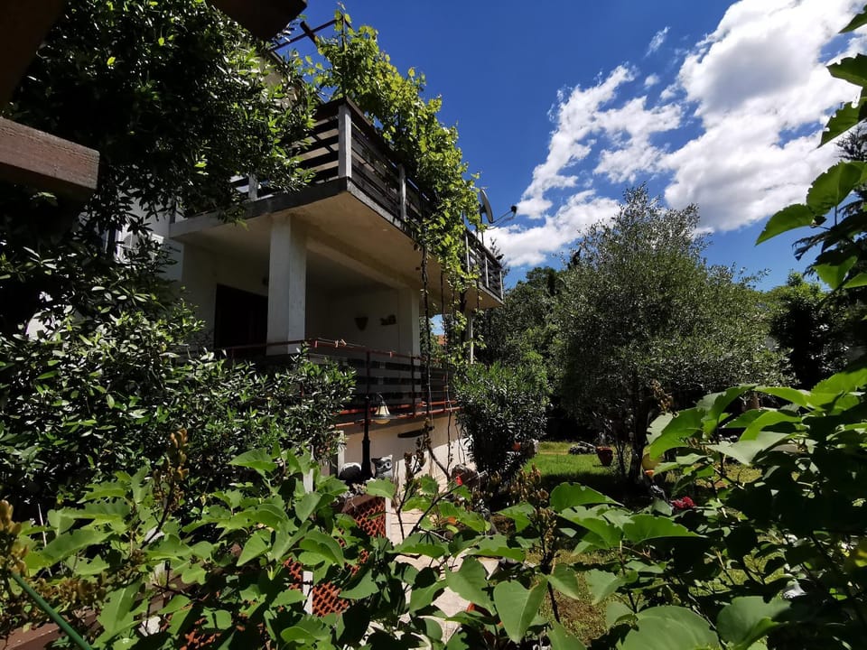 Property building, Balcony/Terrace