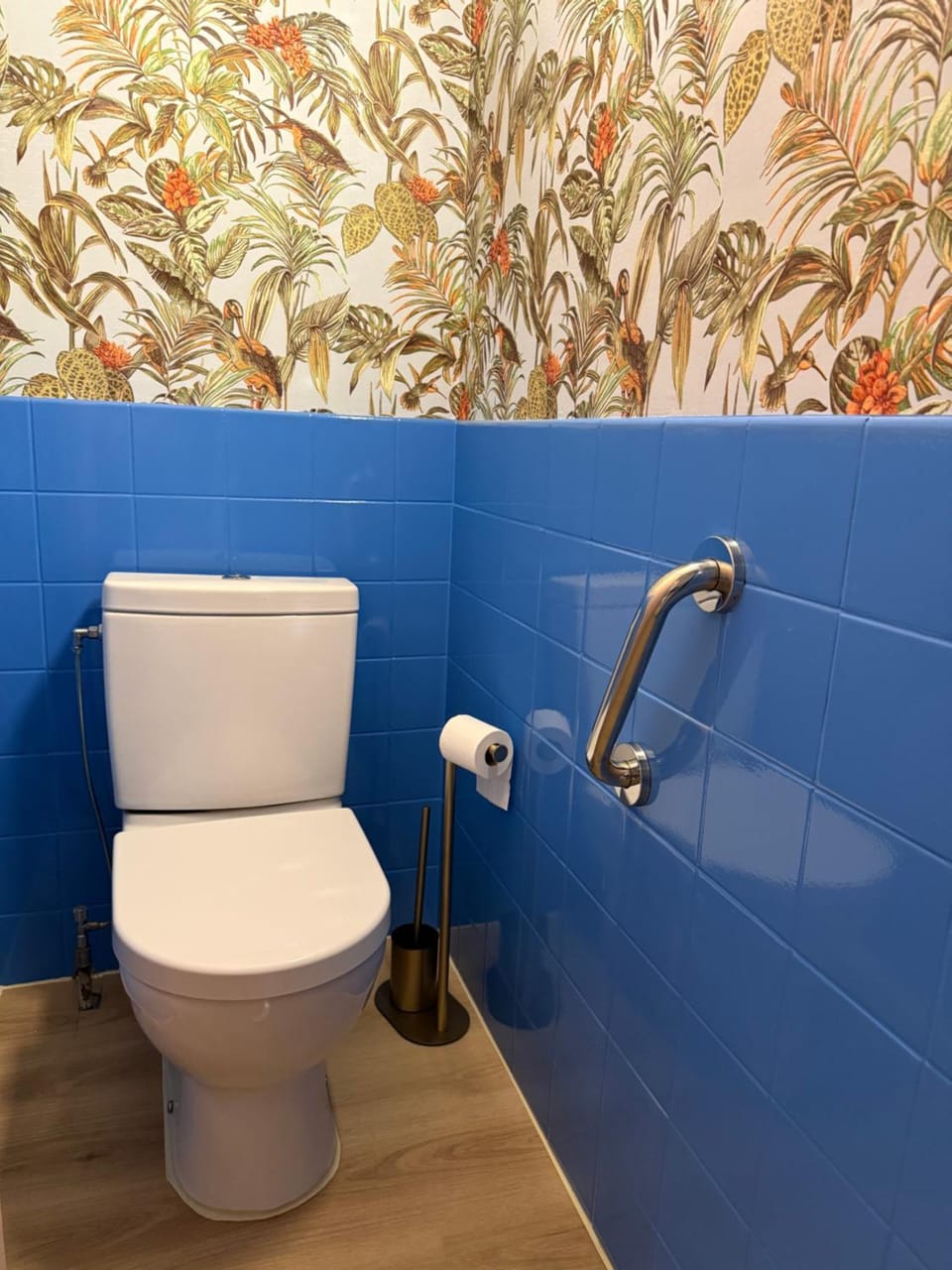 Toilet, Facility for disabled guests