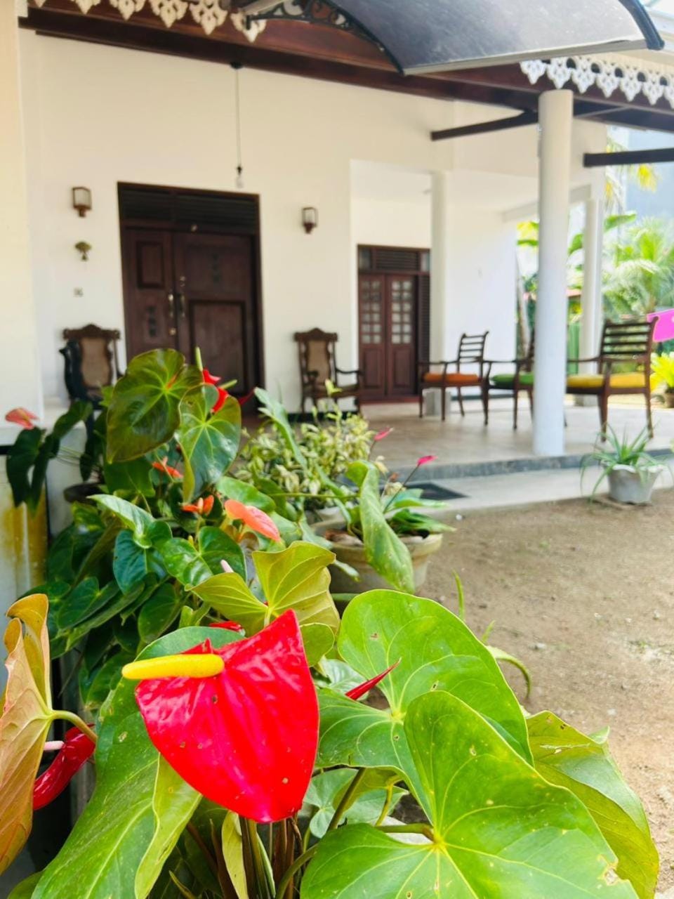 Dinila Villa Villa in Hikkaduwa
