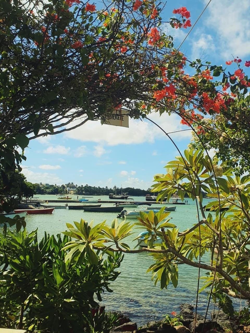 Natural landscape, Sea view