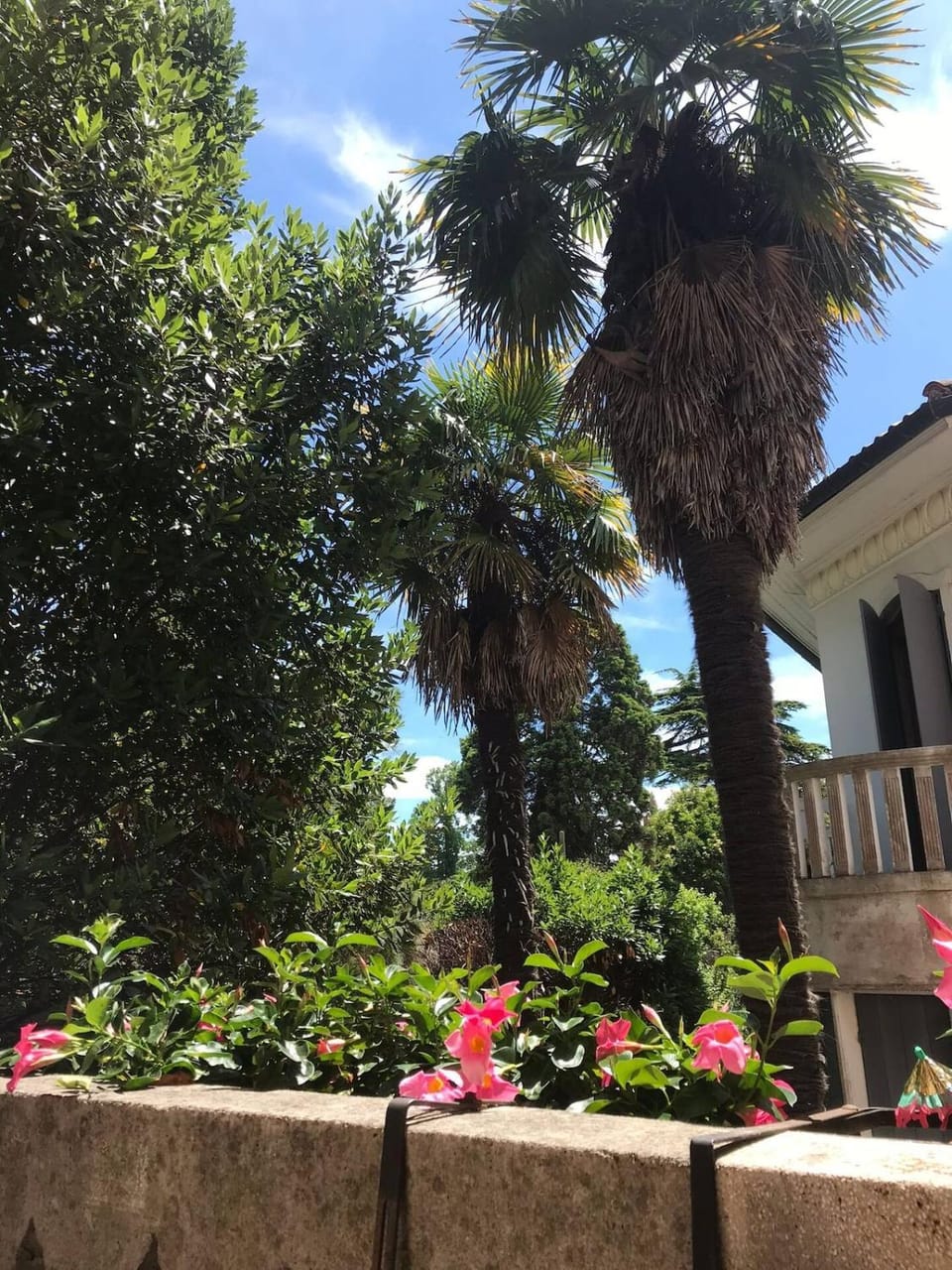 Flat in the heart of Lido Apartment in Lido di Venezia