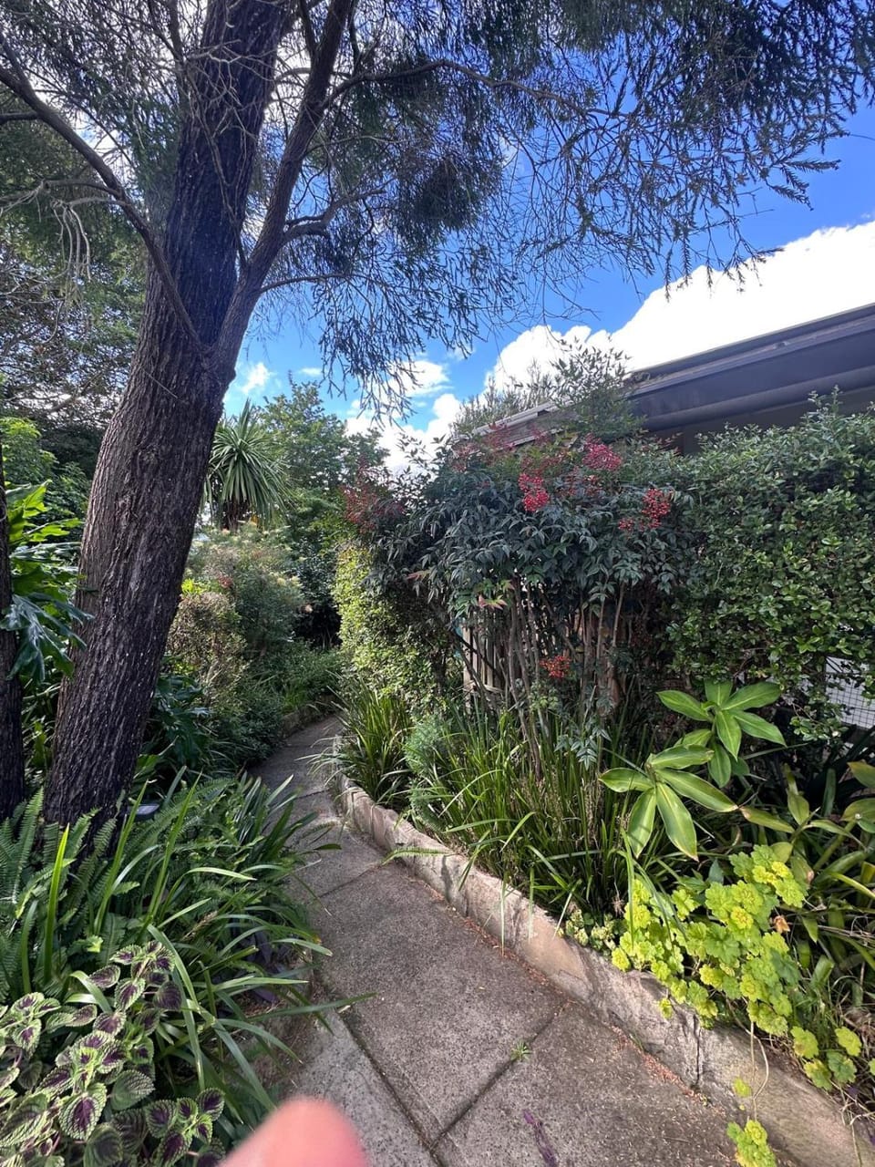 Cozy Single Room in House with Large Garden - KV5 Vacation rental in Sydney