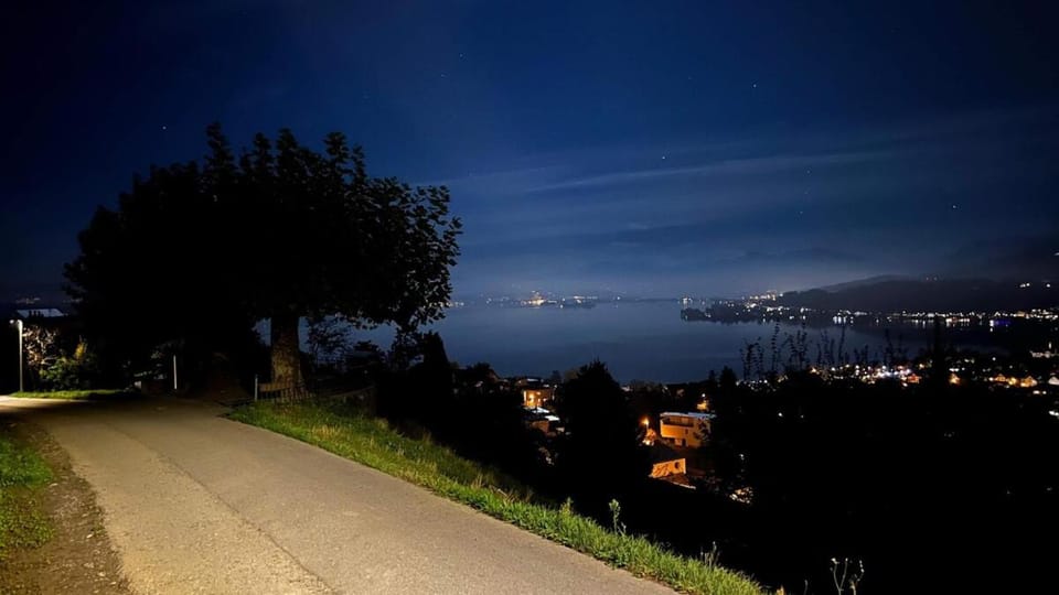 Spacious apartment with lake view and garden Apartment in Zug, Switzerland