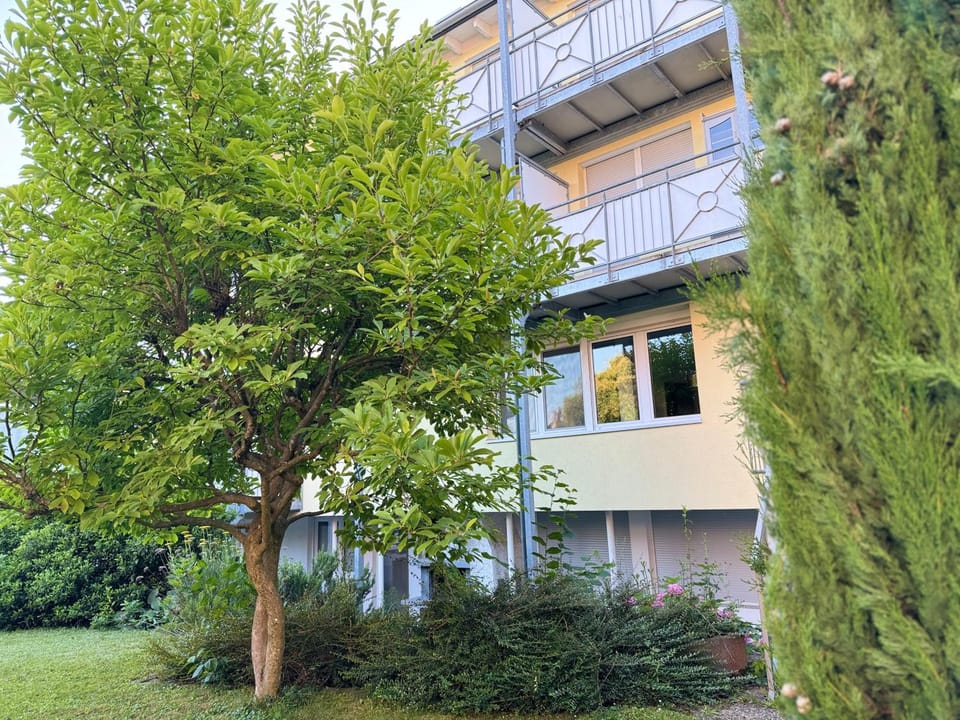 Natural landscape, Garden