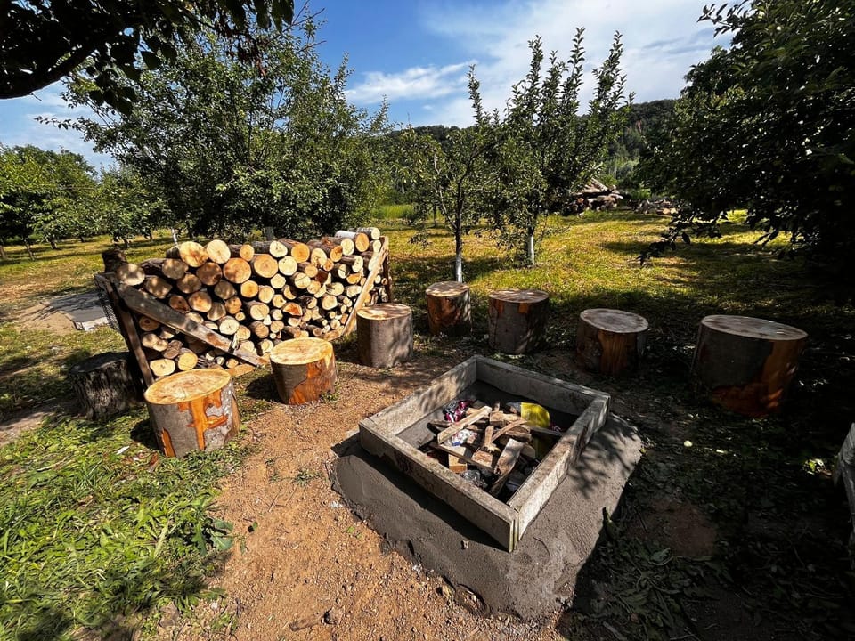 AgroVila ABEL Bed and Breakfast in Timiș County