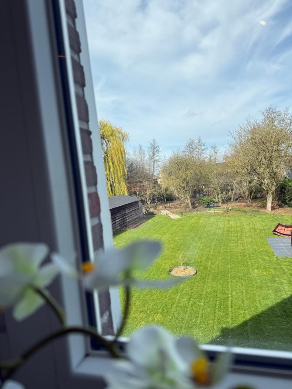 Spring, Garden, Garden, Garden view