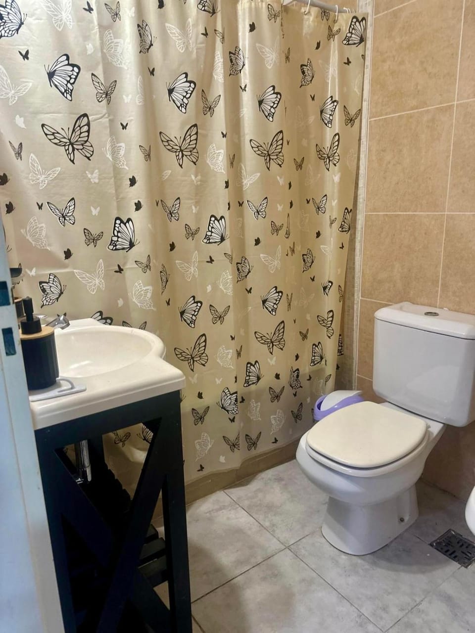 Shower, Bathroom, bidet