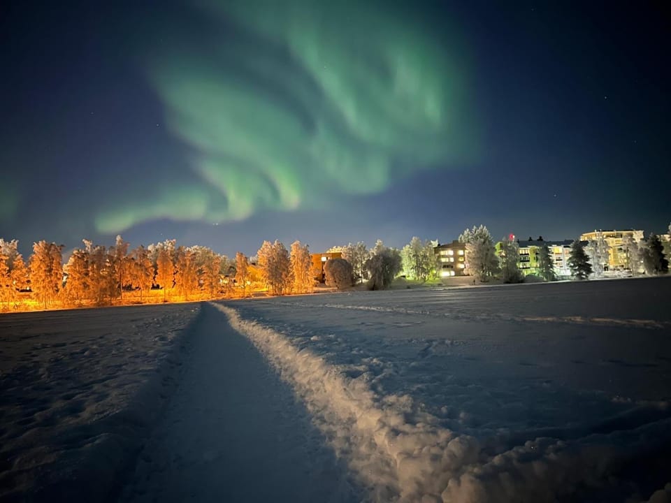 Northern lights city apartment Apartment in Rovaniemi
