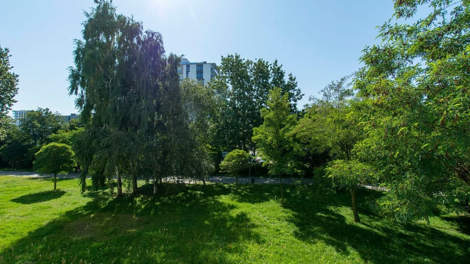 Natural landscape