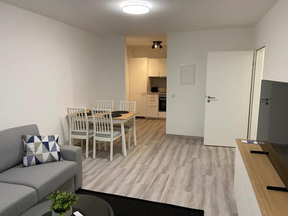 Kitchen or kitchenette, Living room, Seating area, Dining area