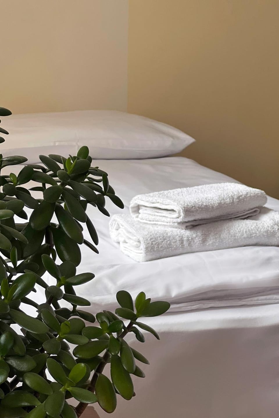 Bed, Bedroom, towels