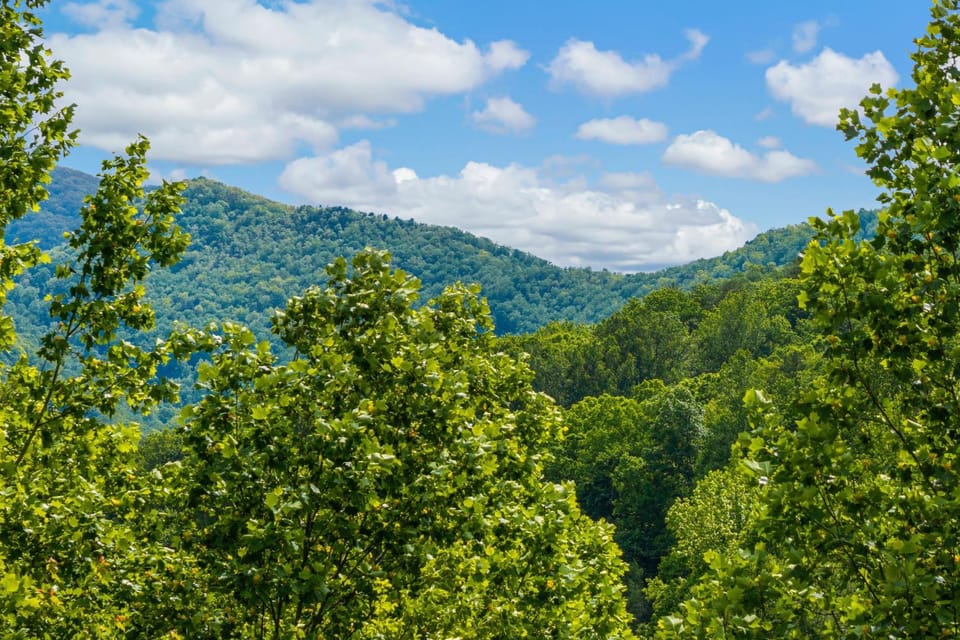 Eagles Loft by American Patriot Getaways House in Gatlinburg