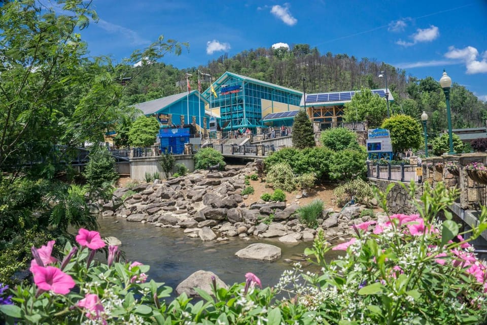 Elk Horn Lodge by American Patriot Getaways House in Gatlinburg