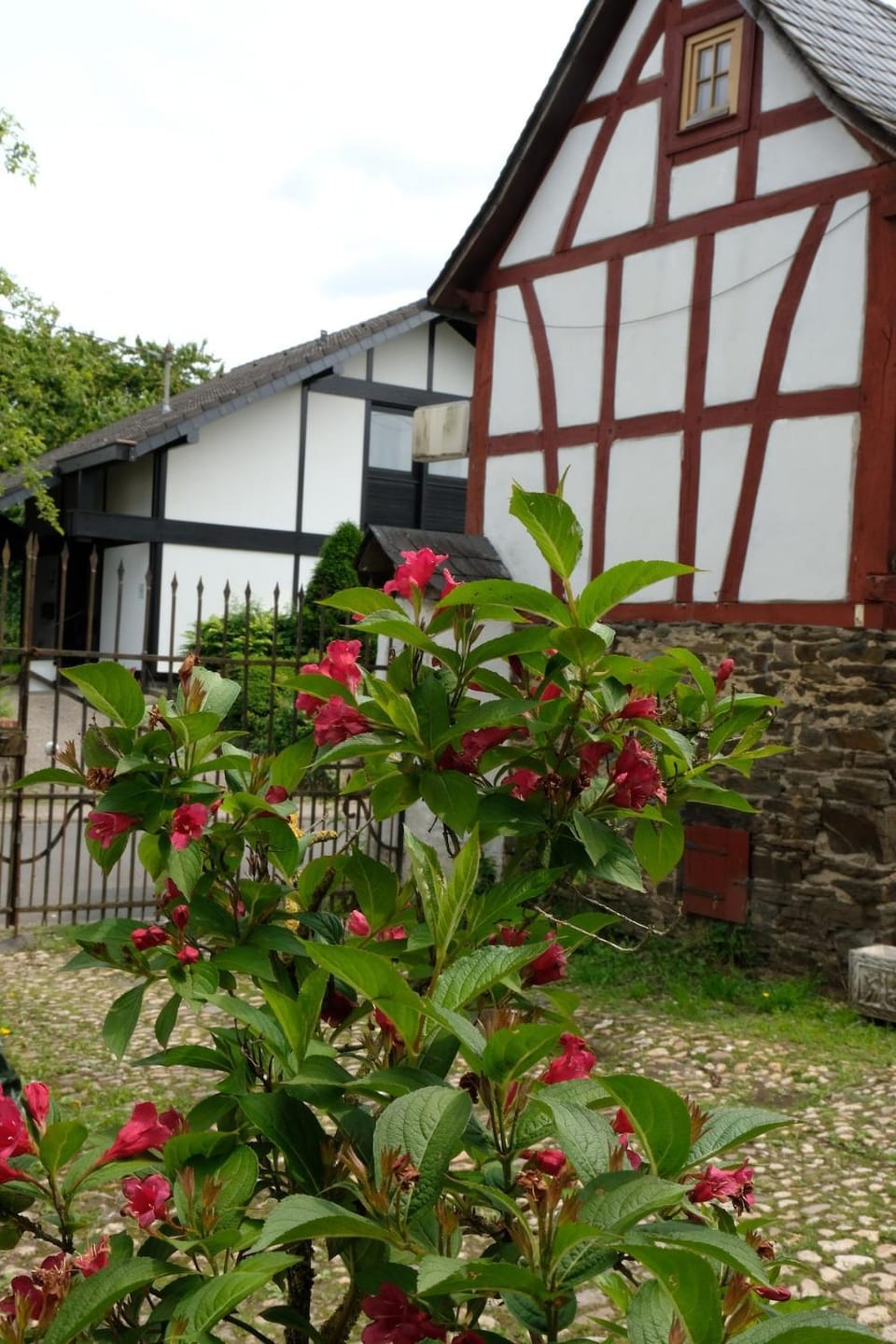 Property building, Garden, Garden view