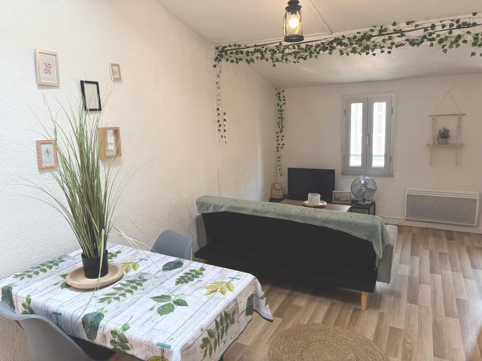 Appartement Du DONJON Apartment in Carcassonne