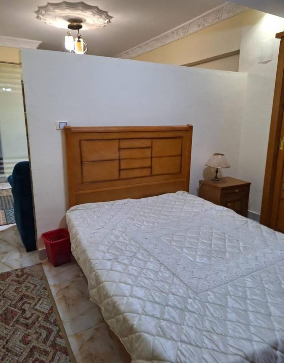 الزمالك شارع اسماعيل محمد Apartment in Cairo