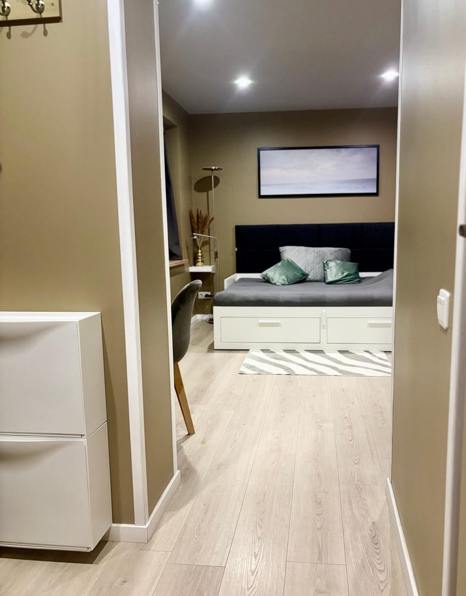 Stay cozy in Vecliepaja Apartment in Latvia