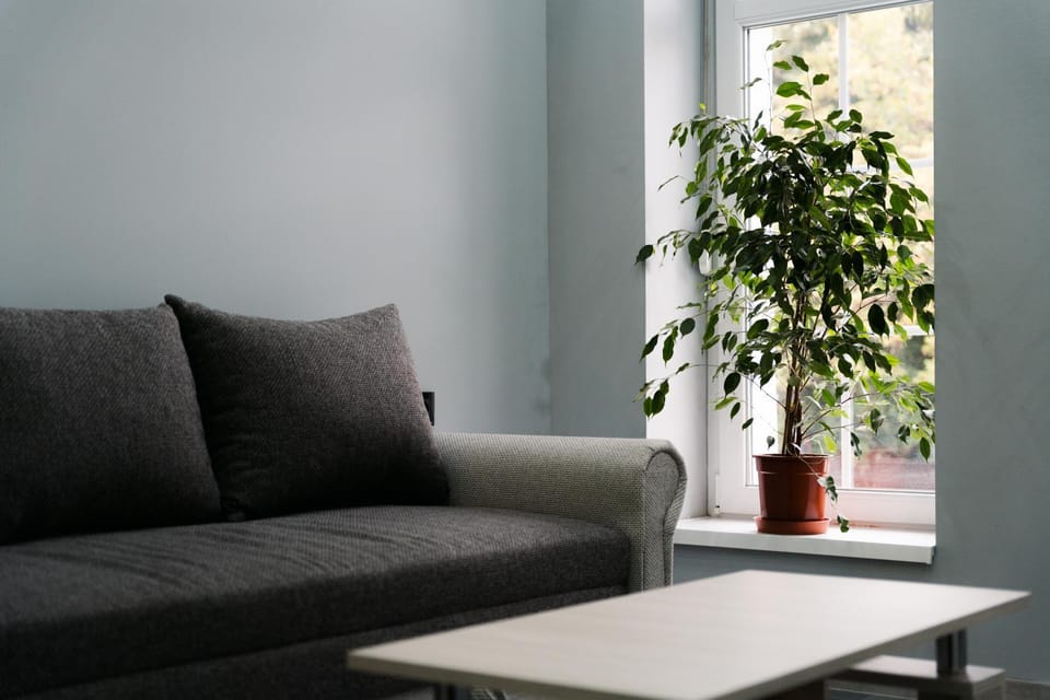 White House Apartman Miskolc, Green Room Apartment in Slovakia