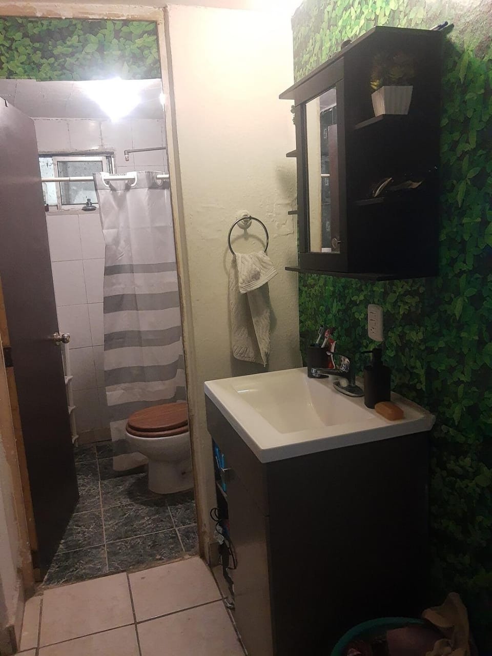 Full house terrace and grill Apartment in Saltillo