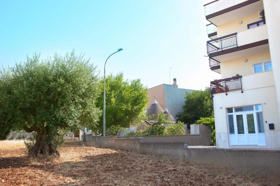 Property building, Natural landscape
