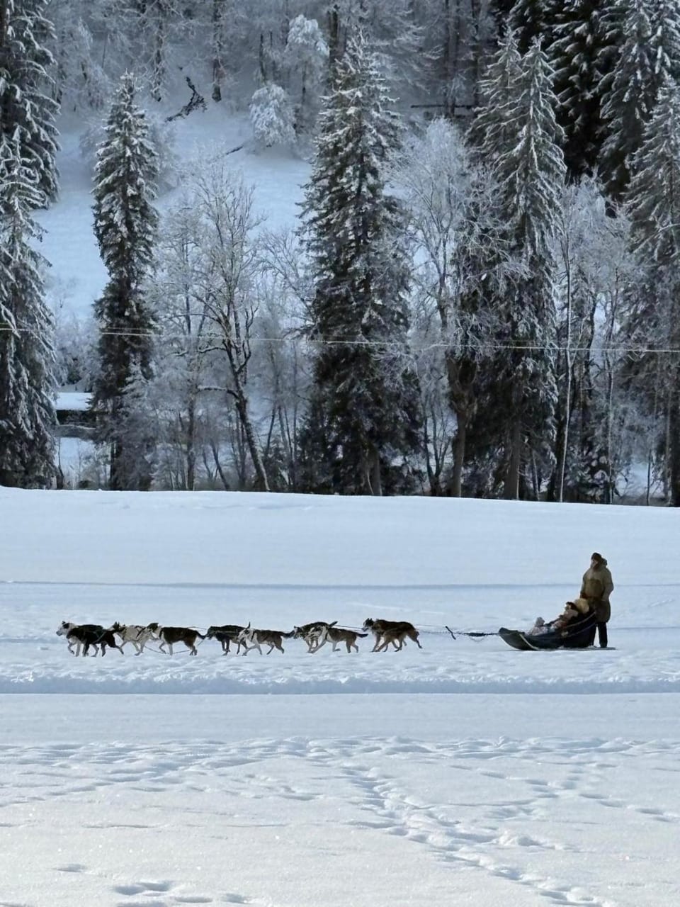 Day, Winter