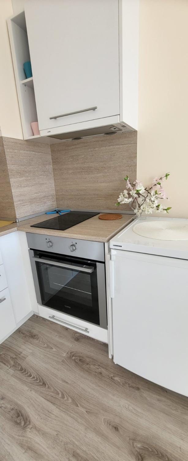 Kitchen or kitchenette, oven, stove