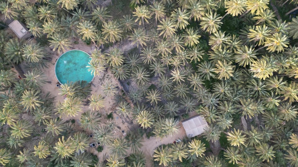 Natural landscape, Bird's eye view, Garden, Swimming pool