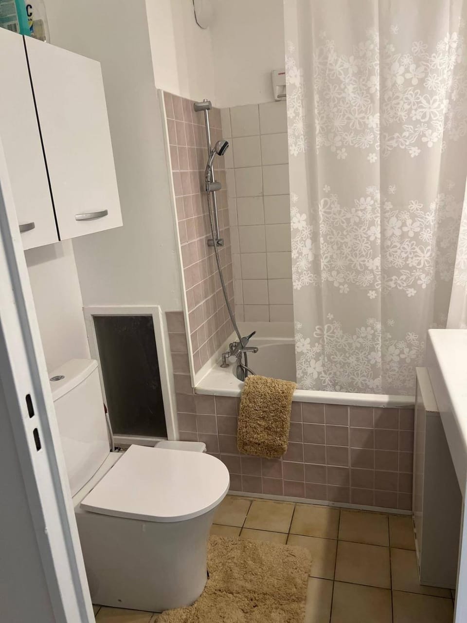 Shower, Toilet, Bathroom, wardrobe, dryer
