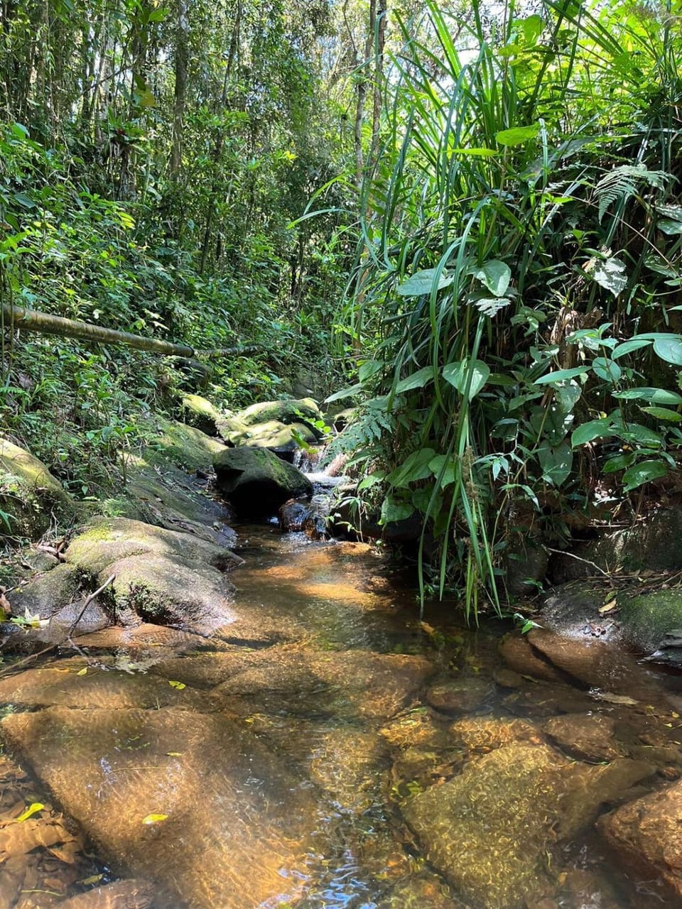 Nearby landmark, Day, Natural landscape