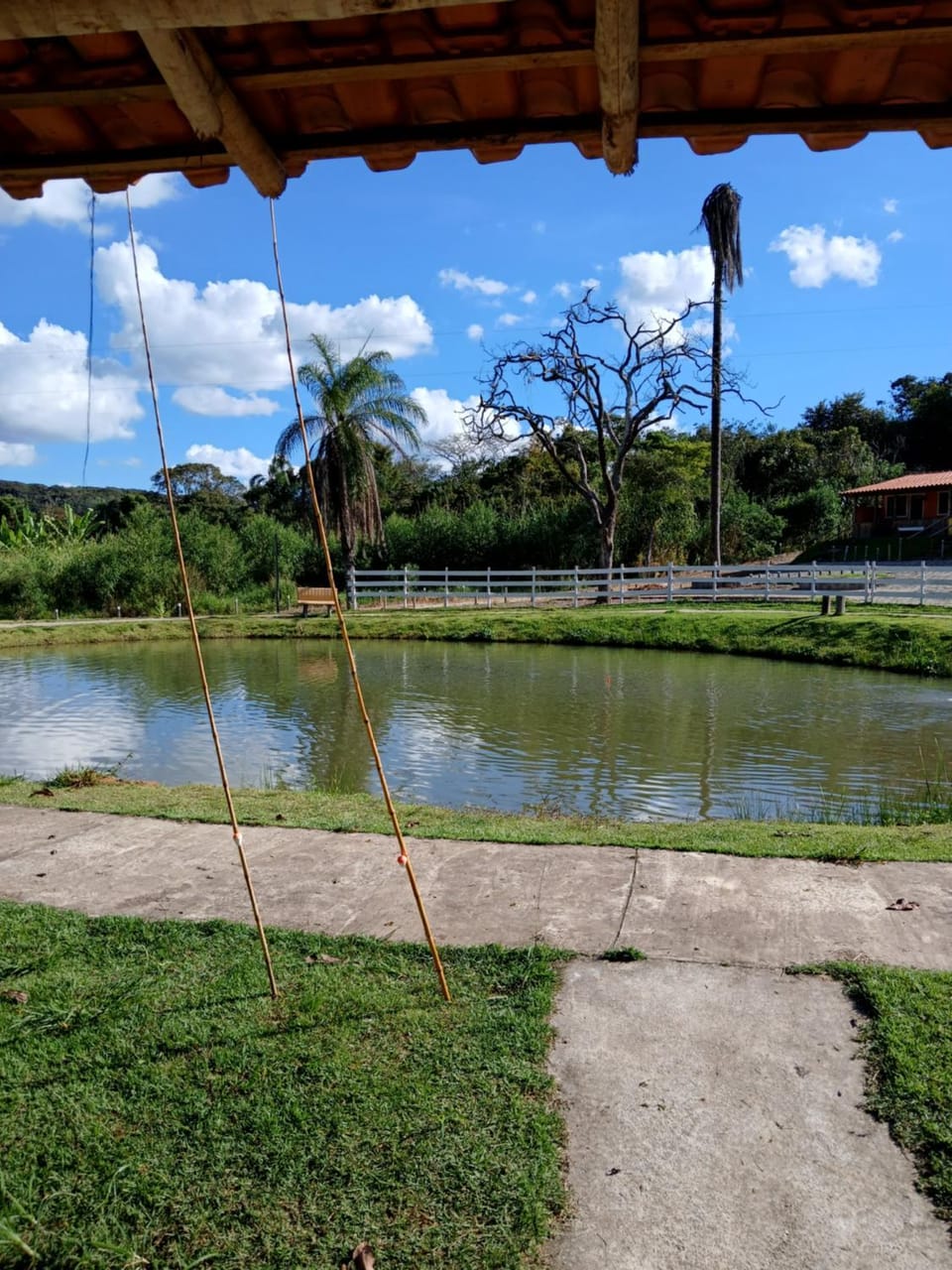 Fishing, Lake view