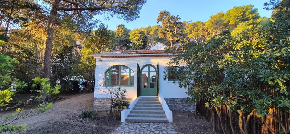 Property building, Garden, Garden view