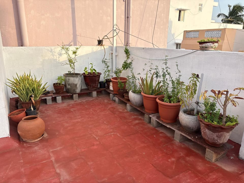 Garden view