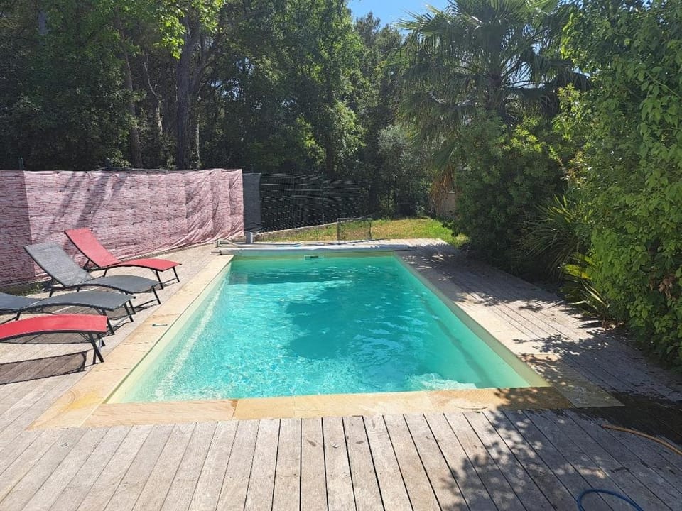 Day, Natural landscape, Garden, Garden view, Pool view, Swimming pool, sunbed
